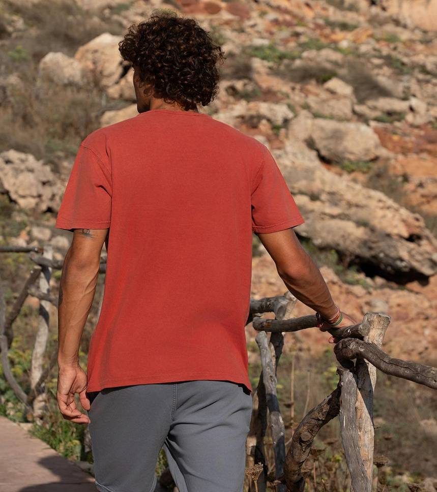 Camiseta cuello botones Petitafurgo